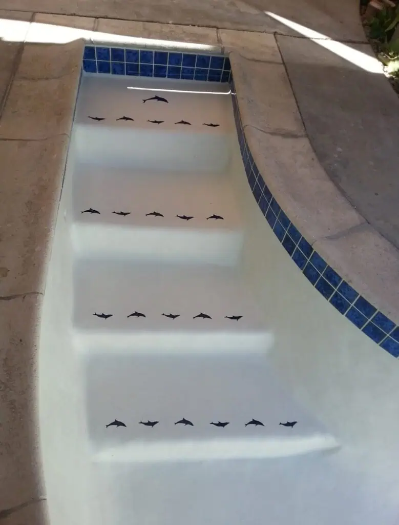 Custom pool steps with dolphin decals and blue tile border for a stylish backyard pool.